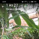 ���� ������, ��������, 60 ��� - ��������� 27 ���� 2024 � ������ ���� ����������