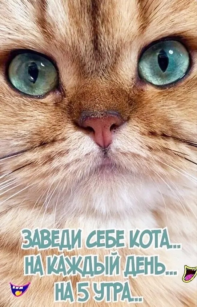 ☆ ☆ - 30  2025  16:37