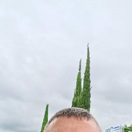 �����, 49 ���, ���������