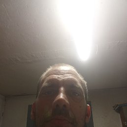 ������ ���������, ����������, 43 ����