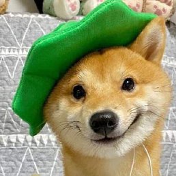 ����, �����-���������, 24 ����