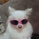 ��� ������� �����)))