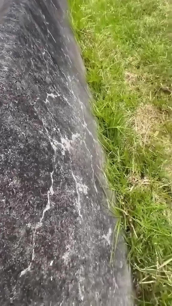 ������ ������� ����� ����, ������ ������ ��� � ����� - 2