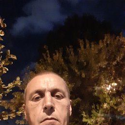 ���� ��������, ���������, 47 ��� - ��������� 18 ������ 2024