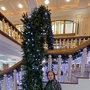 ���� ��������, �����������, 62 ���� - ��������� 29 ������ 2026