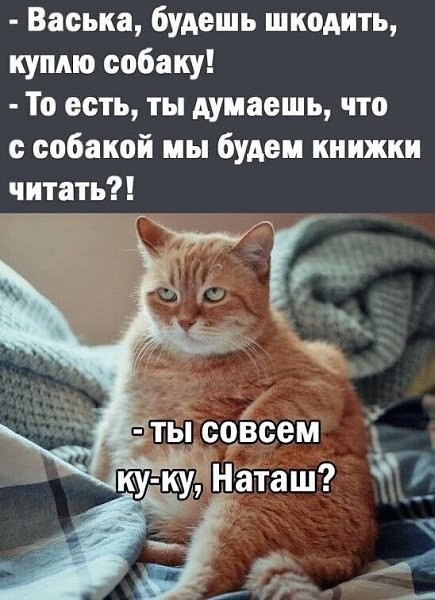   - 2  2025  13:26