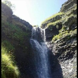 ���� �����, ������, 41 ��� - ��������� 31 ������� 2023