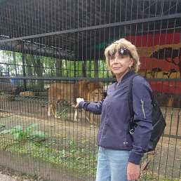 , 55, 