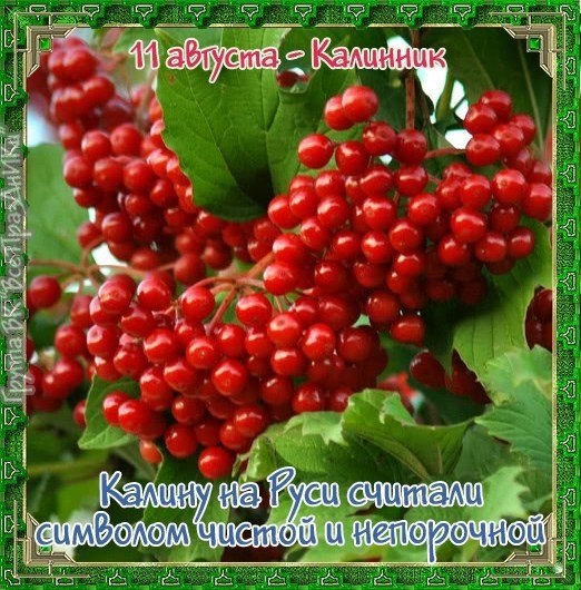 Именины: Анатолий, Вениамин, Роман, Александр, Алексей, Михаил, Константин, Кузьма, Серафима