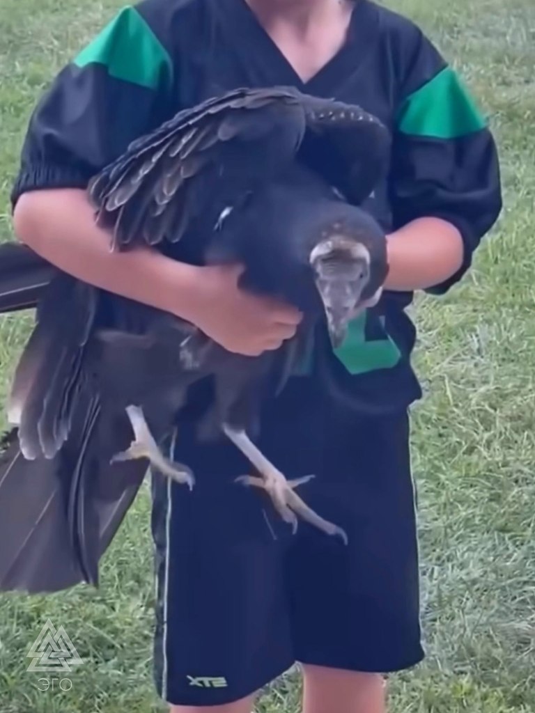        , ,   