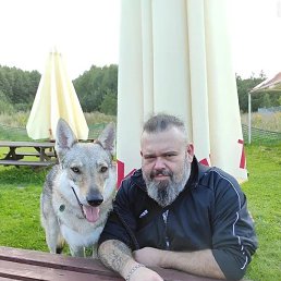 ���� ϸ��, ���������, 41 ��� - ��������� 25 ������� 2024