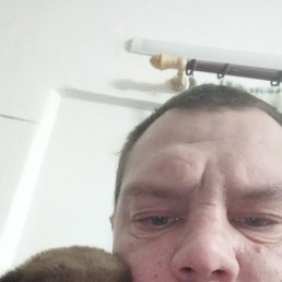 ����, ����, 41 ���