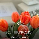 ���� ������� !, ������ - ��������� 23 ������ 2026 � ������ ������ ��������