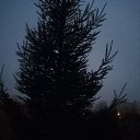 ���� �����, �������, 44 ���� - ��������� 7 ������� 2025 � ������ ���� ����������