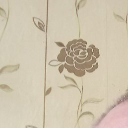 ������, �������, 59 ���