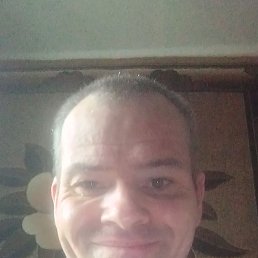 , 37, 