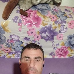 , 41 , 