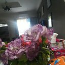 ���� Belinda, �����������, 54 ���� - ��������� 25 ������� 2023 � ������ ���� ����������