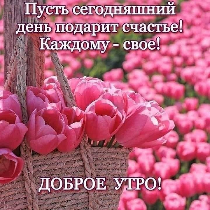     . ,    .    , ...