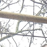 ������, 48 ���, ����