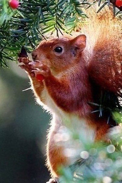 � � �������, ����� �� ����... ��, ������ ������, ��� �� ������! - 6