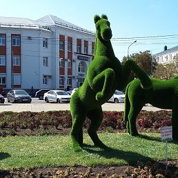 ���������, ������