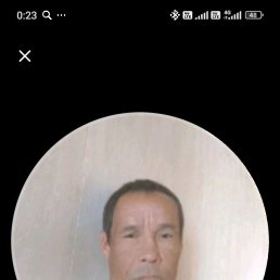 ����, 50 ���, �������������-����������