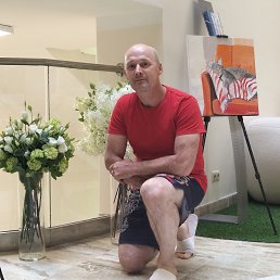 �������, 49 ���, ��������