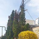 ���� �����, ����, 54 ���� - ��������� 4 ������ 2026 � ������ ���� ����������