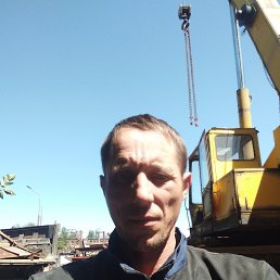 , 37, 