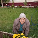 ���� �����, ������, 65 ��� - ��������� 15 ����� 2026 � ������ ���� ����������