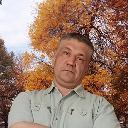 ���� �������, ���������, 46 ��� - ��������� 4 ������ 2025