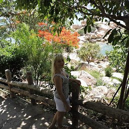 ���������, �����, 36 ���