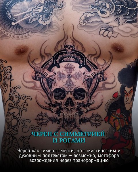 Череп на животе — диалог между жизнью и смертью, хаосом и симметрией
