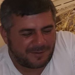 ������, ������, 43 ����