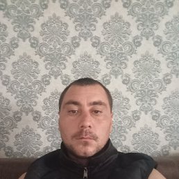 , 30, 