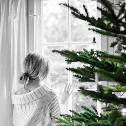 ���� ����, �����-��������� - ��������� 3 ������ 2026