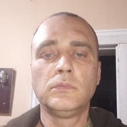 ������, �������, 49 ���