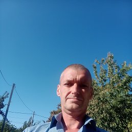 ����, 48 ���, ����