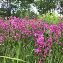 ���� ����, ������������ - ��������� 27 ������� 2026