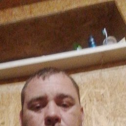 ����, 37 ���, �����