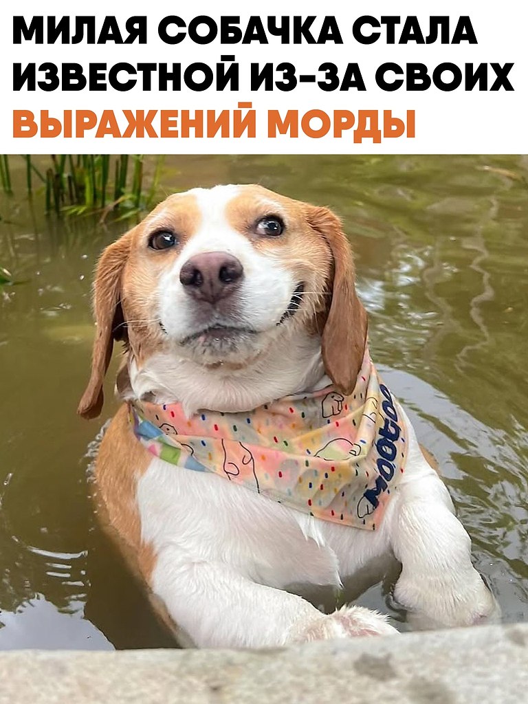    ,    ,     .  ,  , ...