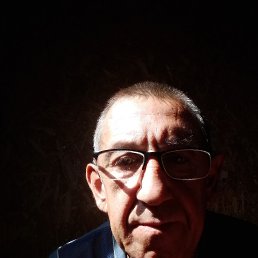 , 56, 