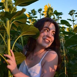 ���������, 24 ����, �����������