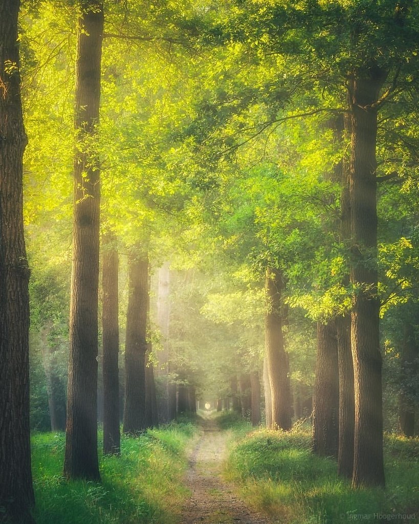 ������ �� ������ ���. ���� �� ���-�� ���������, ������ � ��� ���������� ������ ����� �����, �� ��� ... - 2