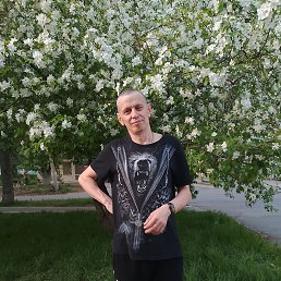 , 45, 