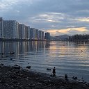 ���� �������, ����������, 51 ��� - ��������� 3 ���� 2026 � ������ ������ ��������