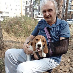 ˸��, 65 ���, �������