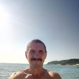 , 58, 