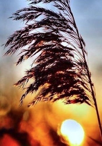 ������ ���� �� ����� ���� �������, �� ���� ���-�� ������� � ������ ���.